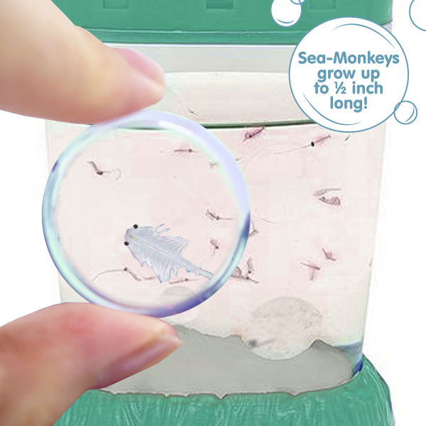 Toy - Kit Sea Monkeys - hotRAGS.com
