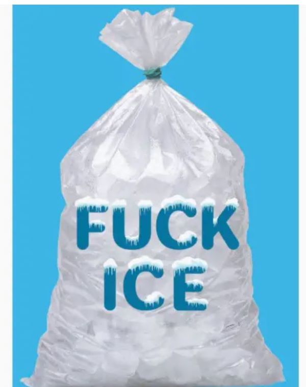 Magnet - Fuck Ice Bag - hotRAGS.com