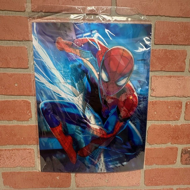 PIC - 3D MARVEL SPIDERMAN - hotRAGS.com