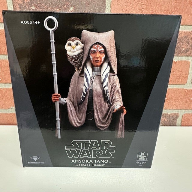 FIGURE - STAR WARS AHSOKA TANO - hotRAGS.com