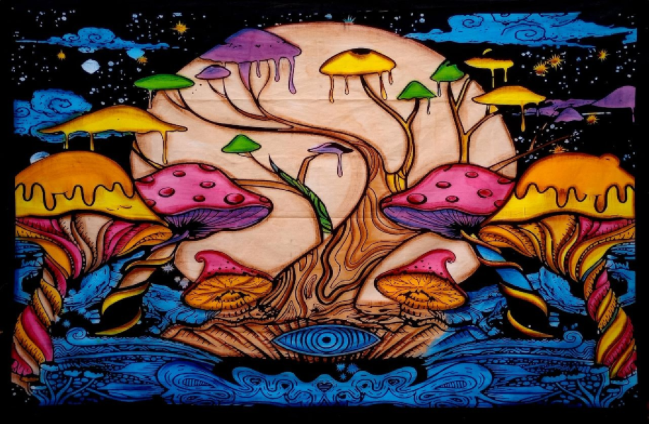 TAPESTRY - HOUSE OF MUSHROOM
