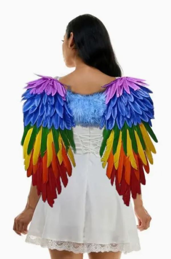 WINGS - RAINBOW PRIDE