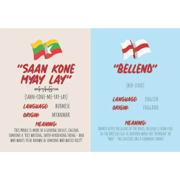 BOOK - HOW TO SWEAR 96 LANGUAGES