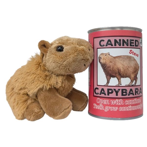PLUSH - CANNED CAPYBARA STEVE