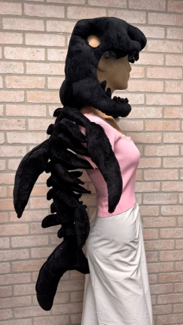 HAT - SHARK SKELETON Assorted - 34X18X20"