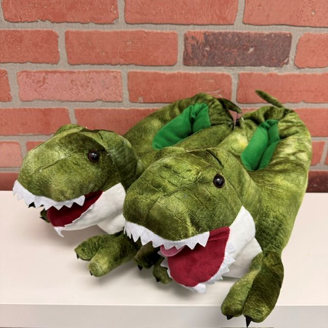 SLIPPERS - DINOSAURS Assorted Colors