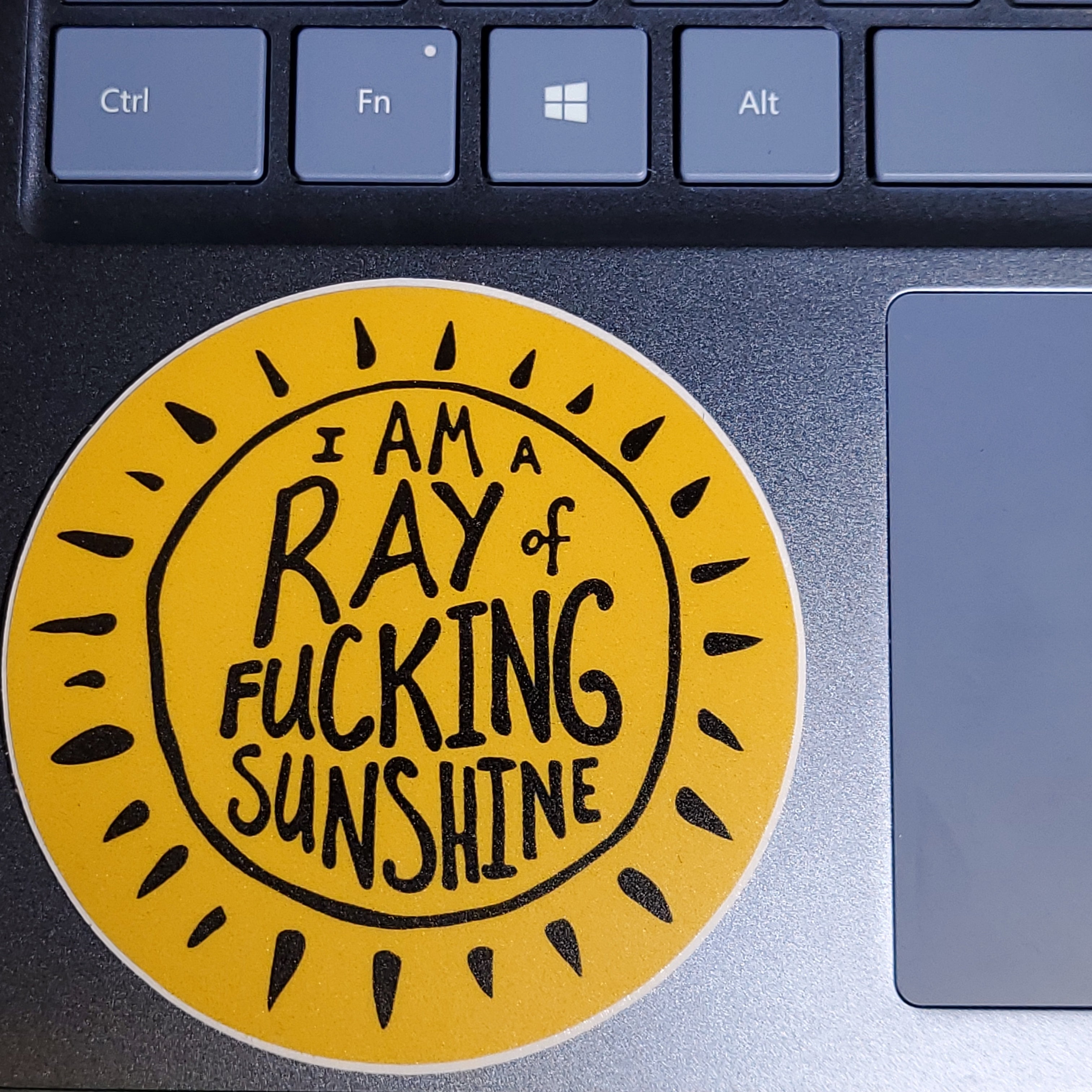 Sticker Fucking Ray Of Sunshin-hotRAGS.com