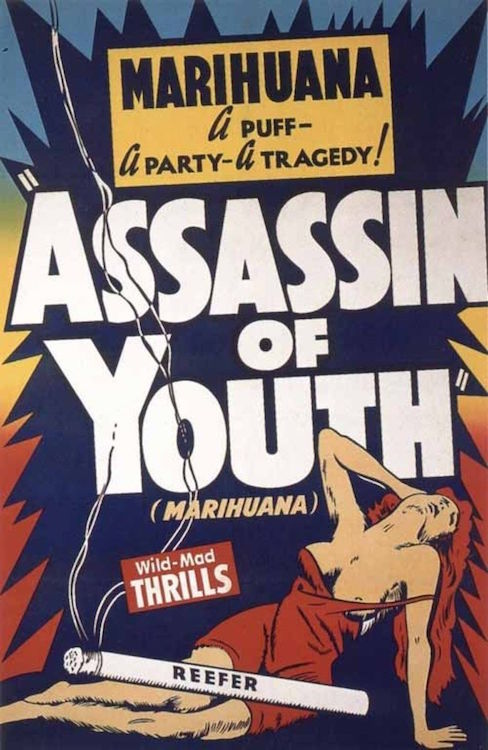 Poster Assasin Of Youth-hotRAGS.com