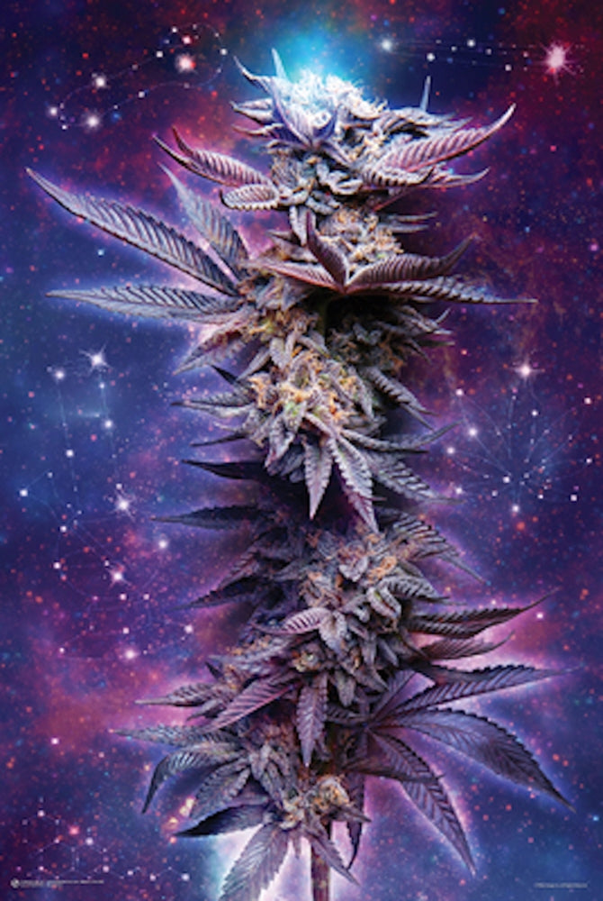 Poster Spaced Out Leafs-hotRAGS.com