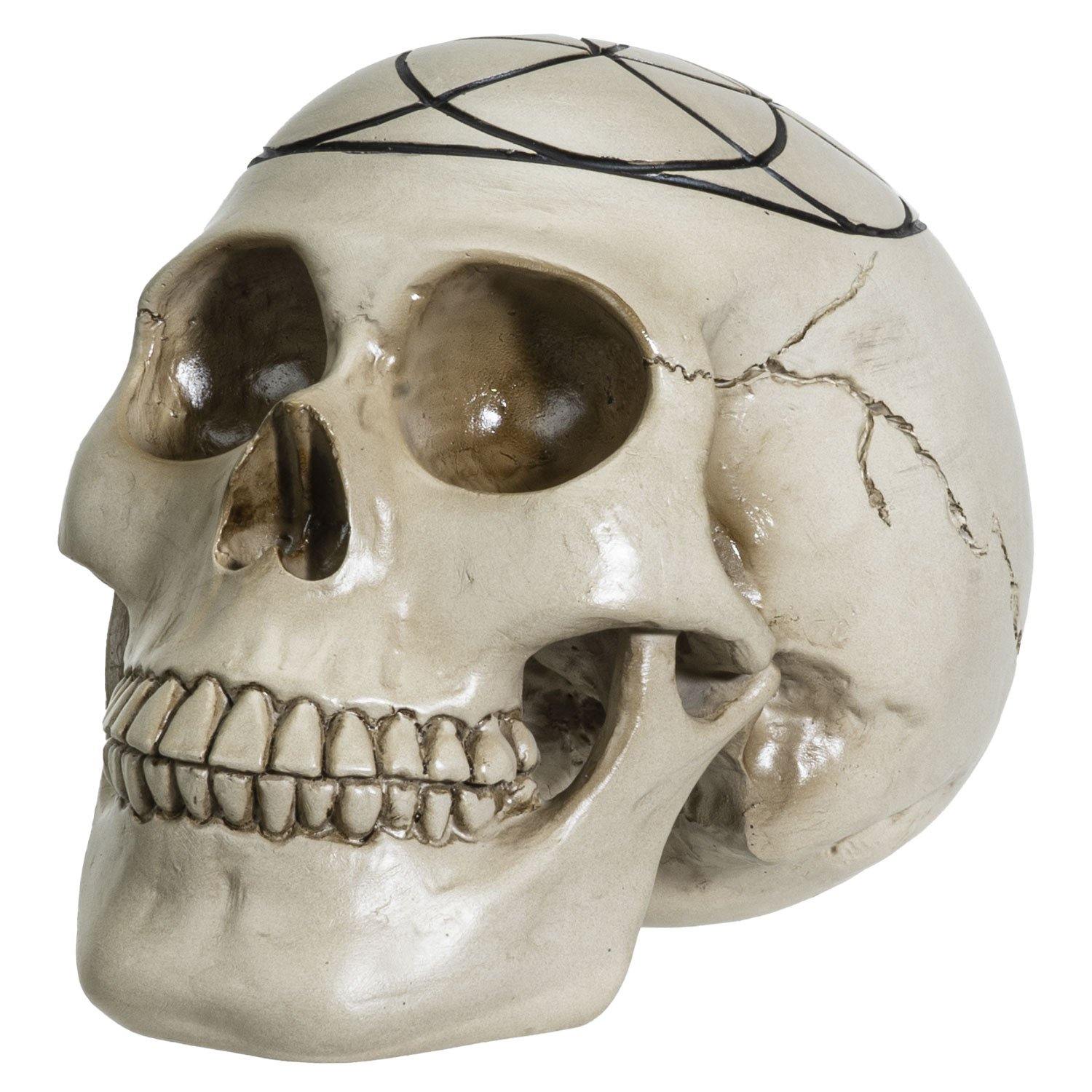 Skull Sacred Geometry Seed Lif-hotRAGS.com