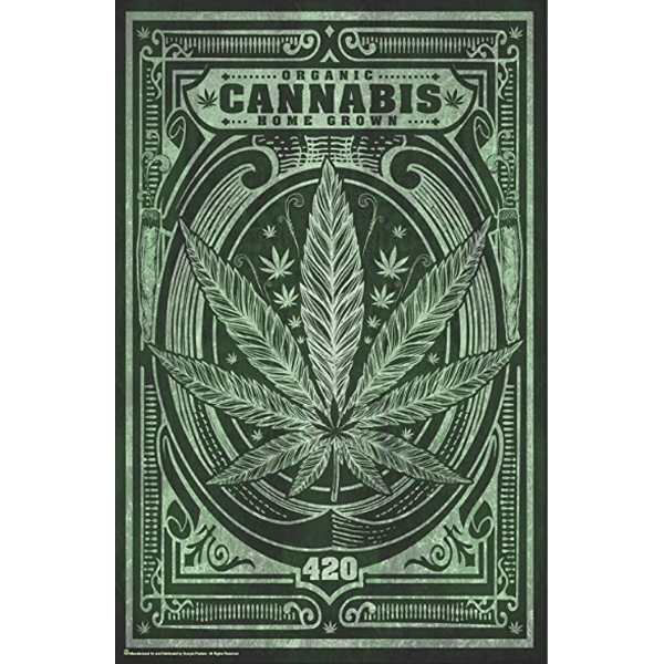 Poster Cannabis Home Grown-hotRAGS.com
