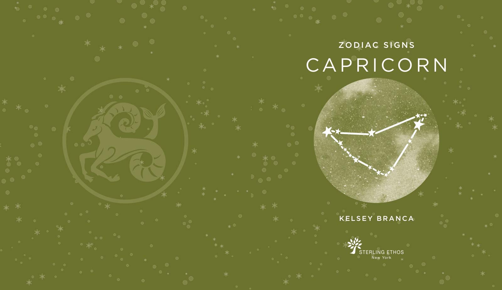 Zodiac Signs: Capricorn-hotRAGS.com