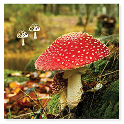 Gold Earrings - Mushrooms-hotRAGS.com