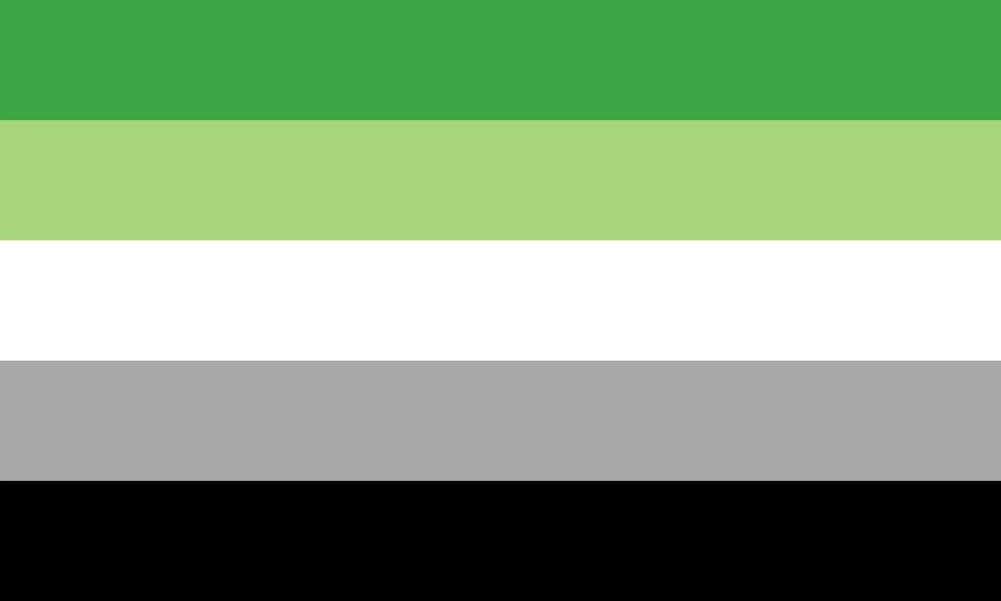 Flag Aromantic 3 X 5-hotRAGS.com