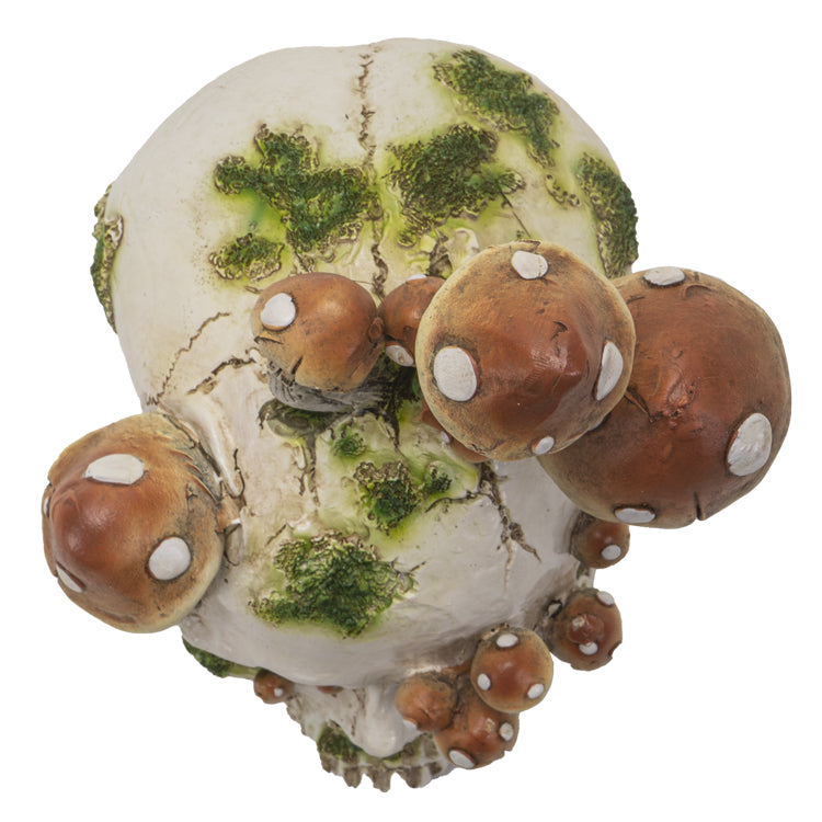 Skull With Mushrooms-hotRAGS.com