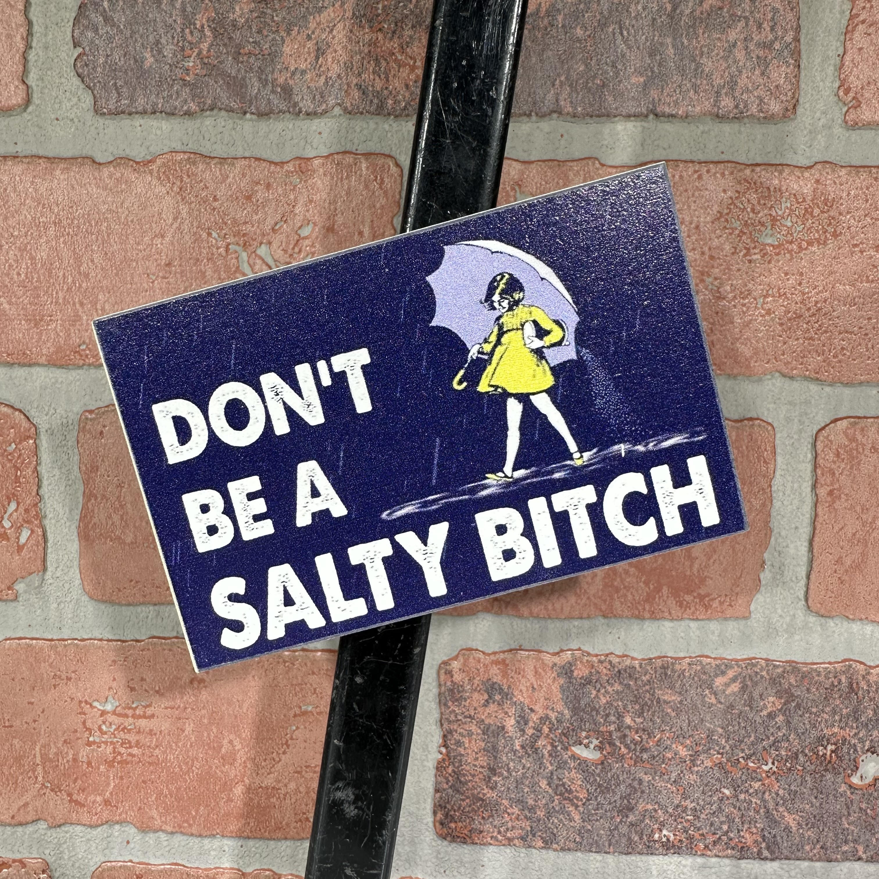Don't Be a Salty Bitch 3in X 4.5in Magnet-hotRAGS.com