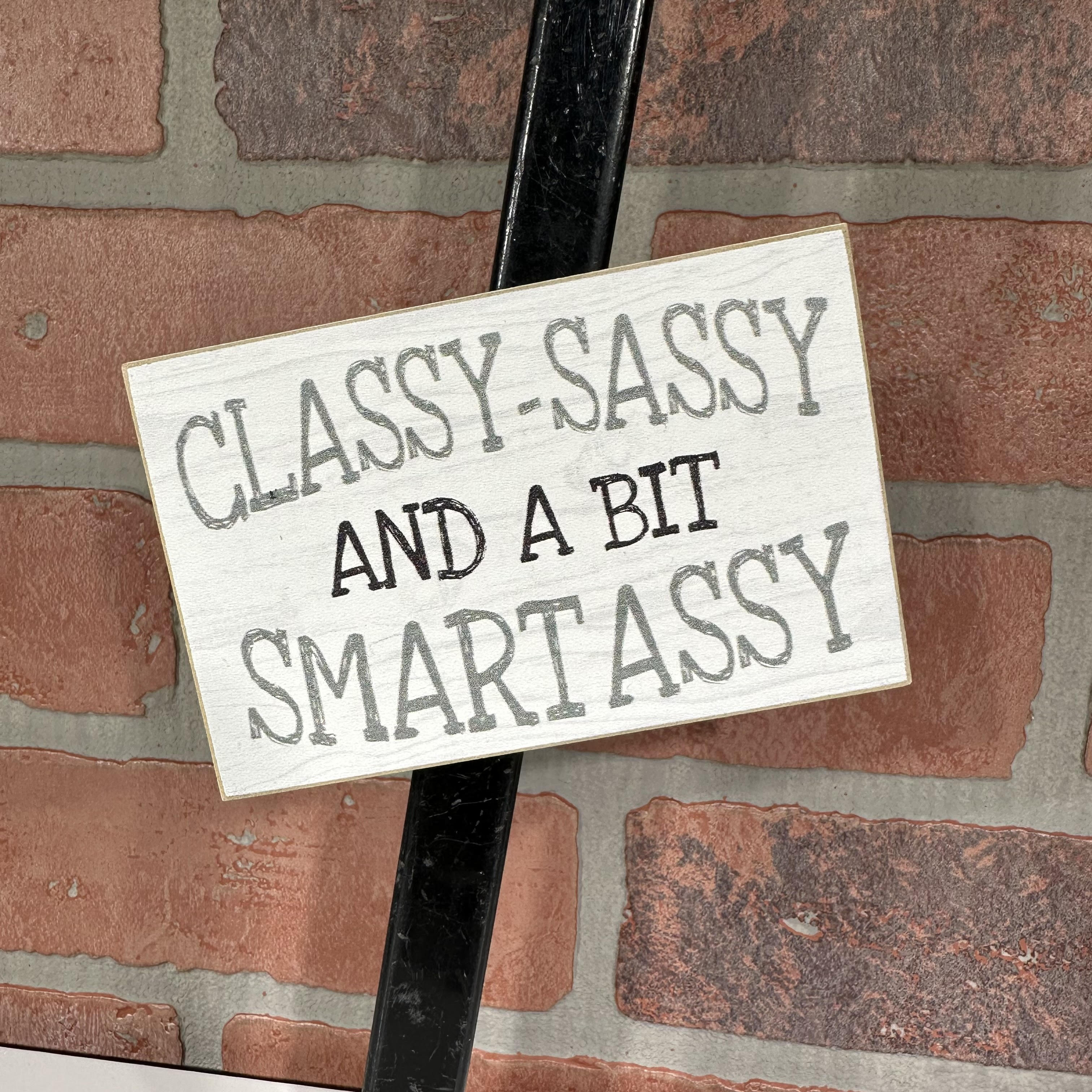 Classy Sassy and a bit Smart Assy 3in X 4.5in Magnet-hotRAGS.com