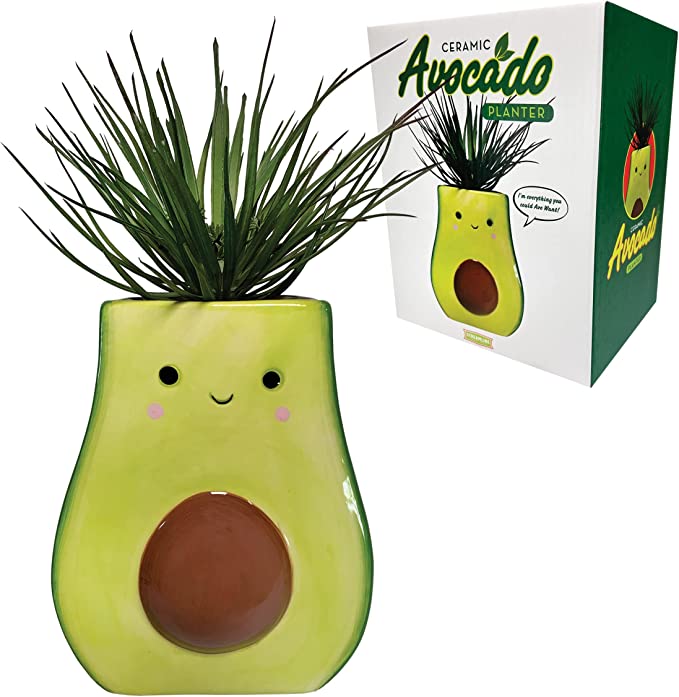 Smily Avocado Planter-hotRAGS.com