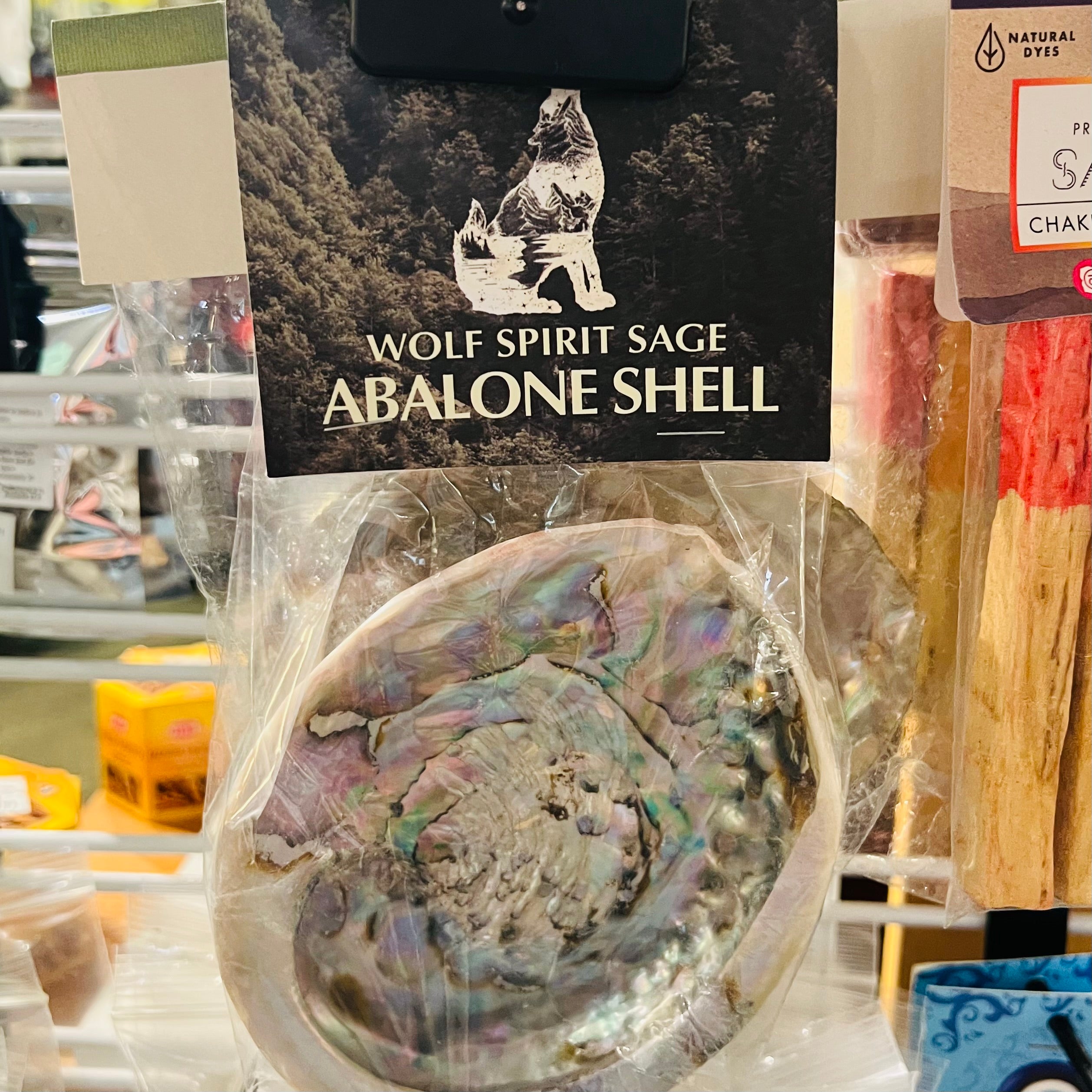 Shell Abalone Smudge-hotRAGS.com