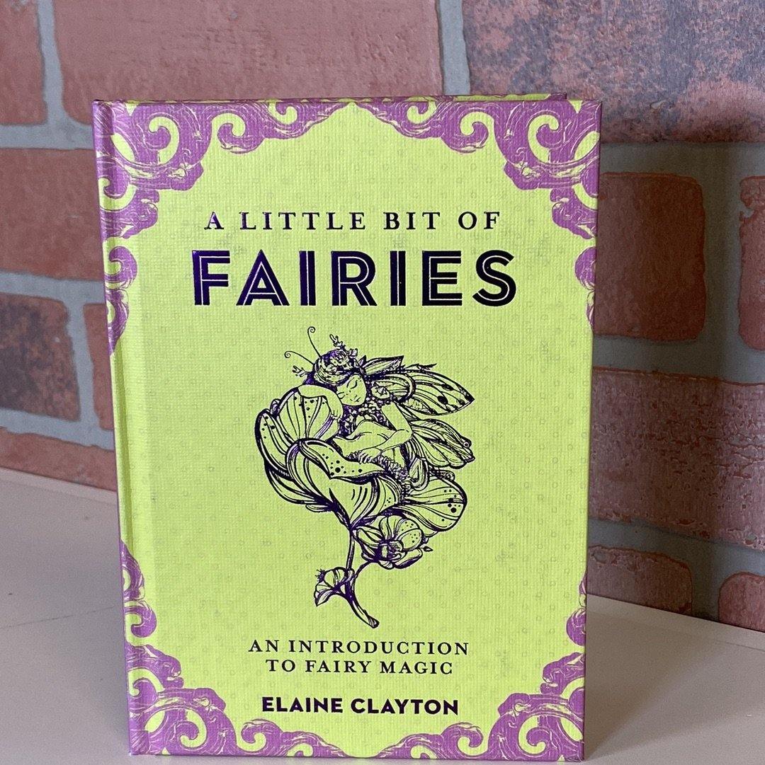 Book Lil Bit Of Fairies-hotRAGS.com
